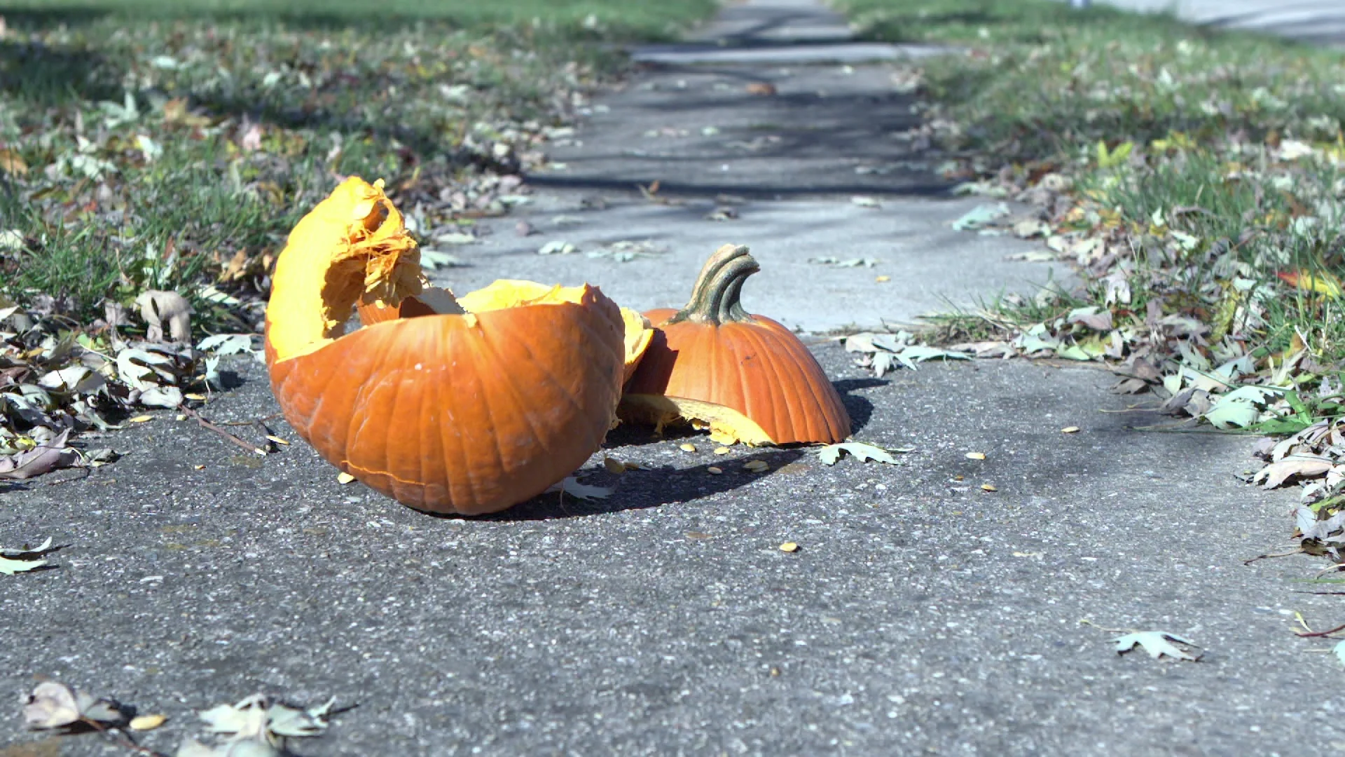 pumpkin-smashing-ground-sidewalk-slow-fo