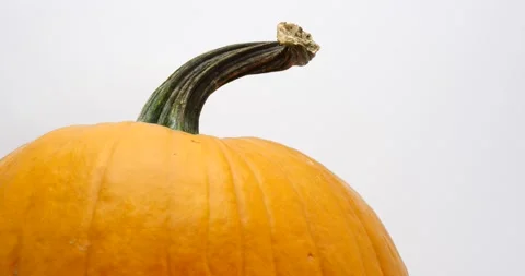 Pumpkin spinning with green stem isolated on white close up on stem Stock Footage 218411774