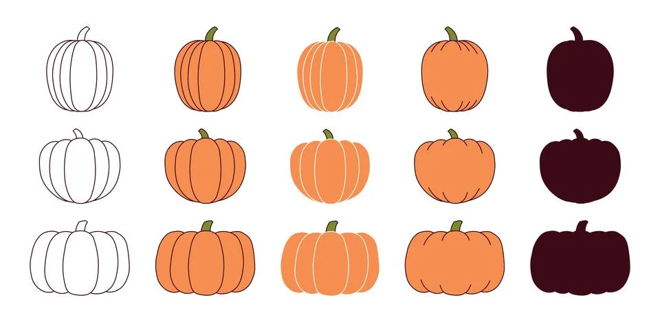 Pumpkin, squash, autumn vegetable isolated 库存插图