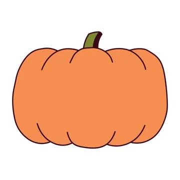 Pumpkin, squash, autumn vegetable isolated Stock Illustration