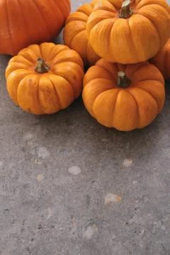 Pumpkin squash vegetable Stock Photos