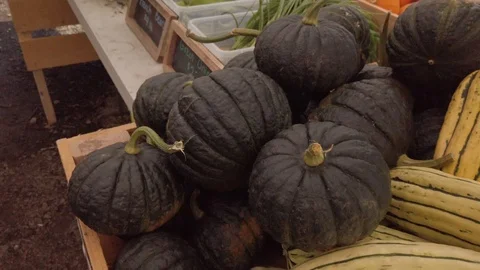 Pumpkin Stand 10 Stock Footage 117695292