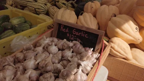 Pumpkin Stand 11 Stock Footage 117695299