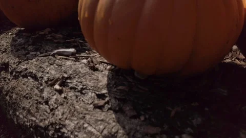 Pumpkin Stand 12 Stock Footage 117695300