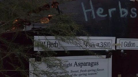 Pumpkin Stand 14 Stock Footage 117695313