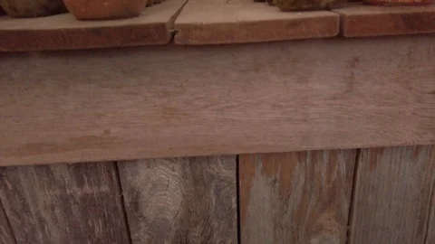 Pumpkin Stand 8 Stock Footage 117695264