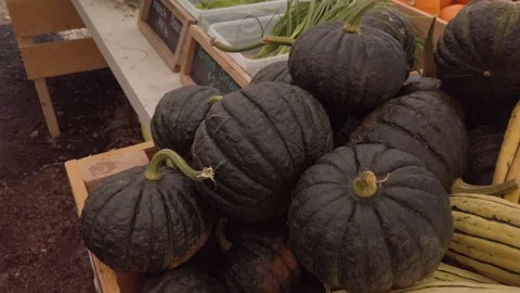 Pumpkin Stand slow motion 10 Stock Footage 117695129