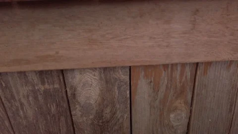 Pumpkin Stand slow motion 8 Stock Footage 117695060