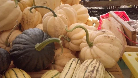 Pumpkin Stand slow motion 9 Stock Footage 117695133