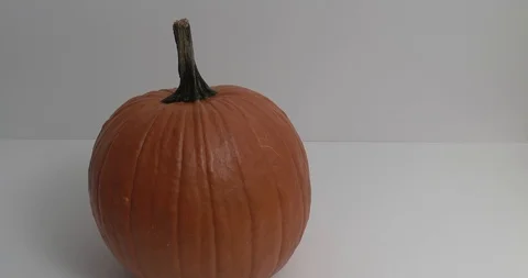 Pumpkin - Static Shot - Screen Left Stock Footage 97796924