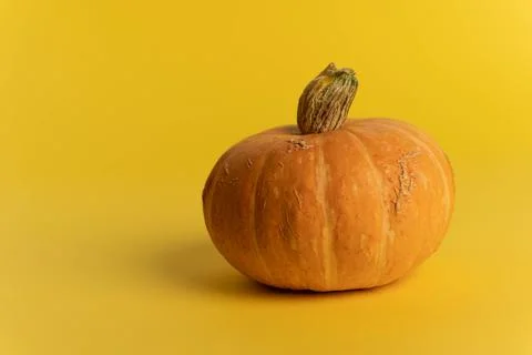 Pumpkin with stem on yellow background Foto stock