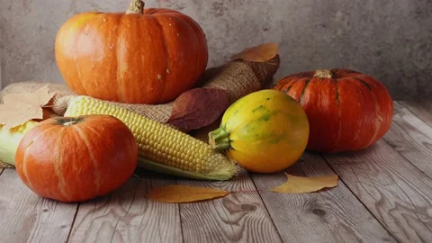 Pumpkin still life on rustic background. Autumn concept Stock Footage 138380951