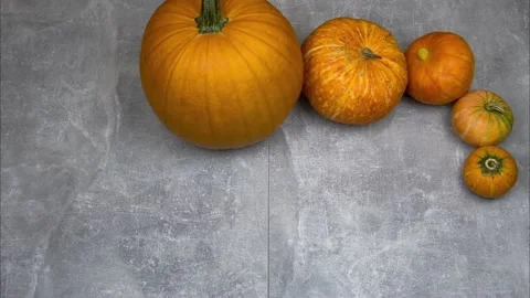 Pumpkin. Stop motion animation 4K. Stock Footage 209227803