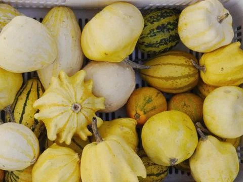 Pumpkin straw Stock Photos