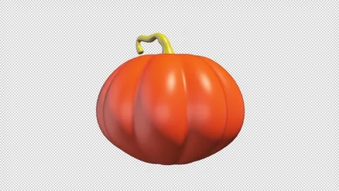 Pumpkin with a striking color Stock Footage 308019723