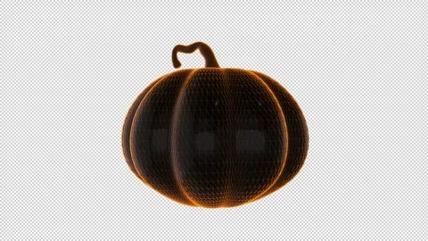 Pumpkin with a striking Stock Footage 308019953