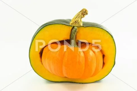 Pumpkin stuffed Stock Photos
