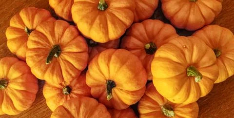 Pumpkin table beautiful Fall Decoration with Pumpkins on Table Stock Photos