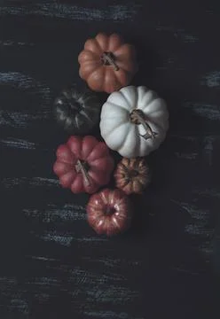 Pumpkin on table different size flat lay Stock Photos