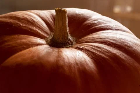 Pumpkin on a table with natural light Stock Photos