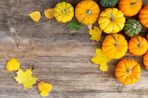 Pumpkin on table Stock Photos
