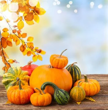 Pumpkin on table Stock Photos