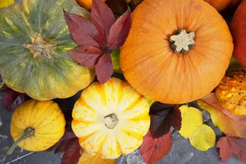 Pumpkin on table Stock Photos