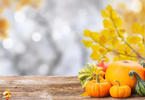 Pumpkin on table Stock Photos