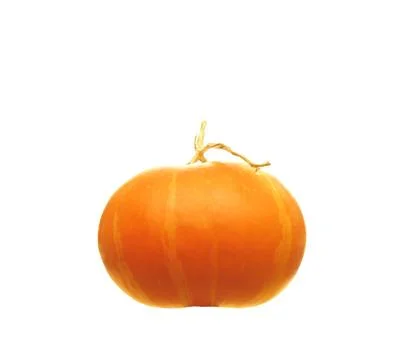 Pumpkin with a tail on a white background. Stock Photos
