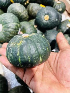 Pumpkin, Thai, Asian Stock Photos