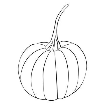 The pumpkin is a thin line. Vector on a white background Stock Illustration