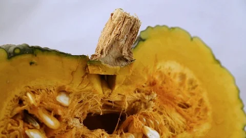 Pumpkin tilt up down 库存影片 97805271