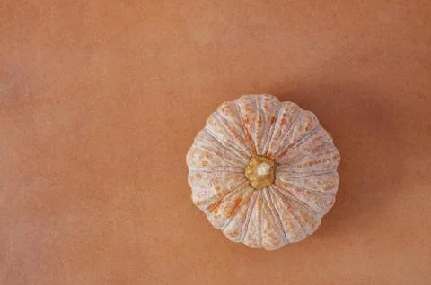 Pumpkin with top view. 스톡 사진