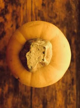 Pumpkin,  top view Stock Photos