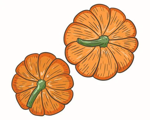 Pumpkin top view vector. Plucked seasonal autumn vegetables. Orange pumpkins. Stock Illustration