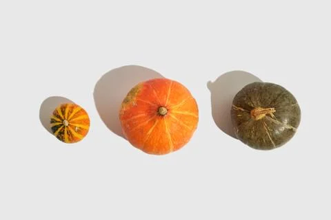 Pumpkin top on white background. Flat lay, top view. Isolated background. Autumn Stock Photos
