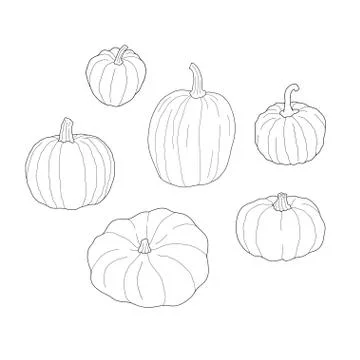Pumpkin transparent set. Vector illustration isolated on white background. He 库存插图