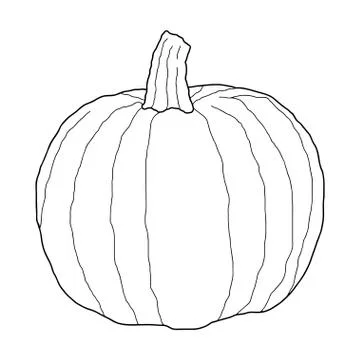 Pumpkin transparent vector illustration isolated on white background. Healthy 库存插图