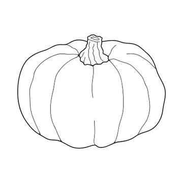 Pumpkin transparent vector illustration isolated on white background. Healthy 库存插图
