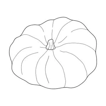 Pumpkin transparent vector illustration isolated on white background. Healthy 库存插图