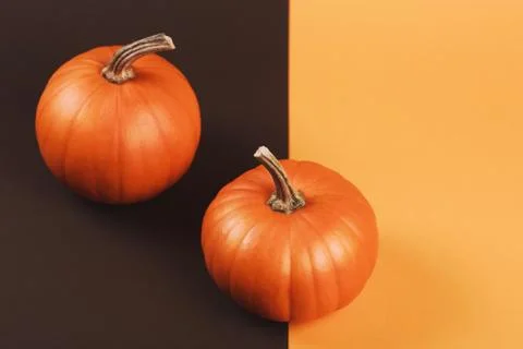 Pumpkin on two-colored background Stock Photos