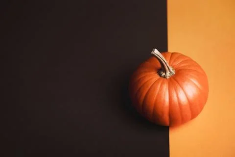 Pumpkin on two-colored background Stock Photos