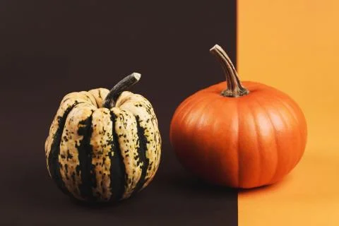 Pumpkin on two-colored background Stock Photos