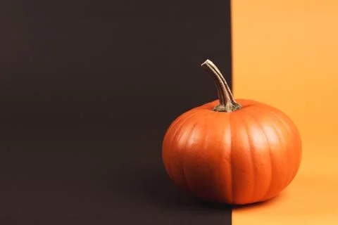 Pumpkin on two-colored background Foto stock