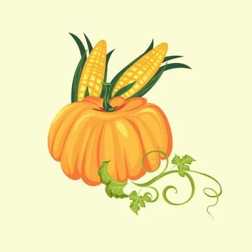Pumpkin with two corn cobs in green leaves, autumn food background vector Stock Illustration