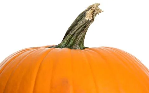 Pumpkin: Upper Half of Pumpkin on White Stock Photos