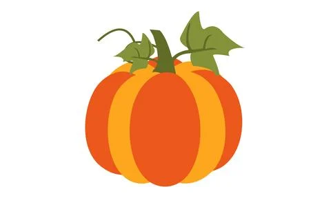 Pumpkin Vector Design And Illustration. Stock Illustration