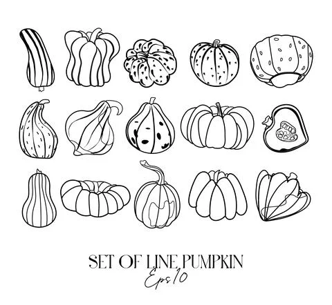 Pumpkin vector drawing set. Stock-Illustration