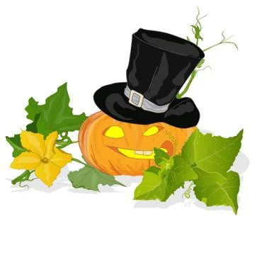 Pumpkin vector illustration Stock Illustration
