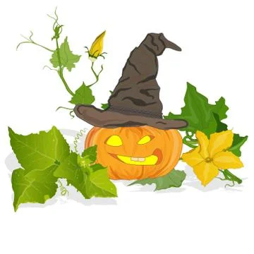 Pumpkin vector illustration Stock Illustration
